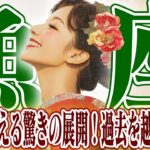 【うお座12月下旬〜1月上旬】過去を越えて前進｜気持ちを超えた新たな展開が待っている【癒しの眠れる占い】