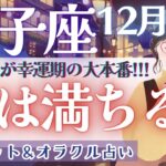 【獅子座】最高を超えていく!!! 重要過ぎる!? 12月前半❤️‍🔥✨【仕事運対人運/家庭運/恋愛運／全体運】12月運勢  タロット占い