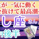 【獅子座さん💗11月後半運勢】凄まじい幸運気で笑いが止まらない！大事な時期を！見逃さないで✨恋愛運・全体運・引き寄せの法則カードからのアドバイスも！個人鑑定級💜