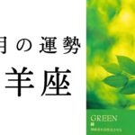 【山羊座🎄12月の運勢】新たな展開にドキドキ😳💓誕生日に向けての勢いがすごい！！2024年タロット占い