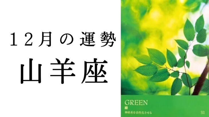 【山羊座🎄12月の運勢】新たな展開にドキドキ😳💓誕生日に向けての勢いがすごい！！2024年タロット占い