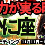 【蟹座】♋️2024年11月11日の週♋️努力が実る時。高い理想を実現する。人にも優しく。タロット占い。