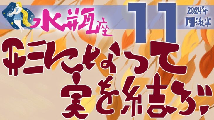 【水瓶座】2024年11月後半の運勢♒️〝徐々に形になって実を結んで願いが叶っていくのを感じていく‼️丁寧に丁寧に心や状況と向き合うことがポイント💫〟仕事・人間関係のタロットリーディング🔮