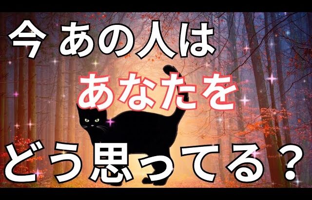 今あの人はあなたをどう思っている？気持ち❤️恋愛タロット占い ルノルマン オラクルカード 細密リーディング