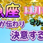 【うお座💕2024年11月後半】🌟お金に関する嬉しいニュースで自由を取り戻す：金運🌟理解者に救われる、ありがたく受け取ろう：仕事運🌟不安からの解放、次のビジョンを思い描こう