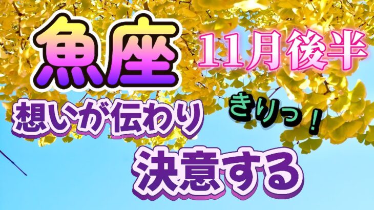 【うお座💕2024年11月後半】🌟お金に関する嬉しいニュースで自由を取り戻す：金運🌟理解者に救われる、ありがたく受け取ろう：仕事運🌟不安からの解放、次のビジョンを思い描こう