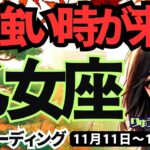 【乙女座】♍️2024年11月11日の週♍️力強い時が来た。目標を定め、基礎を固めてとにかく前進。タロット占い。