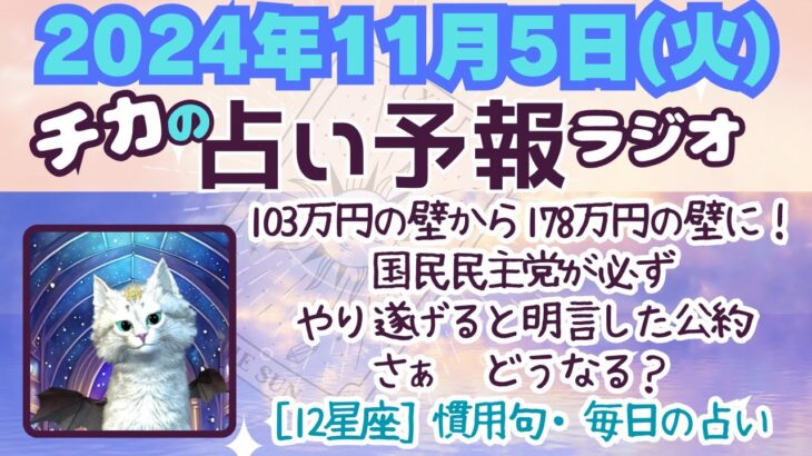 103万円の壁から178万円の壁に！国民民主党が必ずやり遂げると明言した公約さぁ　どうなる？　[12星座] 慣用句・毎日の占い