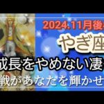 【11月後半🍀】山羊座さんの運勢🌈成長をやめない凄さ！素晴らしさ✨挑戦があなたを輝かせる✨💛✨素敵です😳