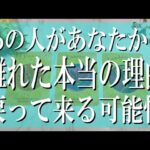 【忖度無しの辛口鑑定】あの人があなたから離れた本当の理由は？戻って来る可能性は？