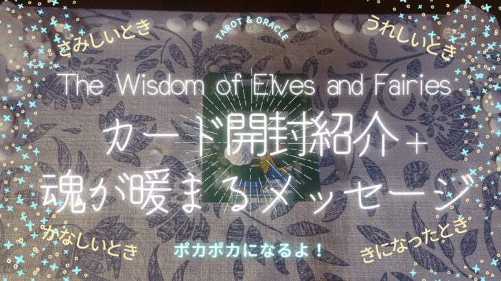 魂が元気なら何でもできる！🧚👼｜タロット・オラクル｜今必要なメッセージ｜魔法＊暖かな光｜牡牛座満月