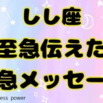 【獅子座】超パワフルなメッセージが届きました❣️❗️＃タロット、＃オラクルカード、＃当たる、＃占い、＃緊急