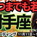 【射手座】♐️2024年11月11日の週♐️いつまでも若い。大きな夢に向かっていく時。タロット占い。