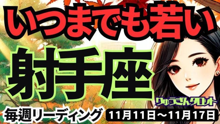 【射手座】♐️2024年11月11日の週♐️いつまでも若い。大きな夢に向かっていく時。タロット占い。