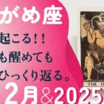 もう、凄すぎる！！再誕・2025年に向けて生まれ変わる。【12月の運勢・2025年上半期の流れ　水瓶座】