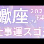 蠍座さん2025年下半期運勢♏️仕事運スゴイ🫧自分らしく生きる🌸情報収集する🌟仕事運🌈恋愛運💫金運【#占い #さそり座 #2025年】