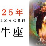 【牡牛座🎖️2025年の運勢】いよいよこの時が😳12年に一度あるかないかの大革命期、突入❤️‍🔥2024年タロット占い