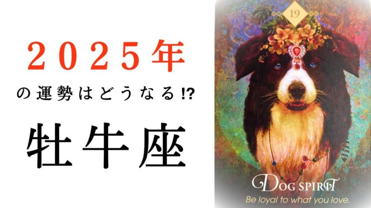 【牡牛座🎖️2025年の運勢】いよいよこの時が😳12年に一度あるかないかの大革命期、突入❤️‍🔥2024年タロット占い