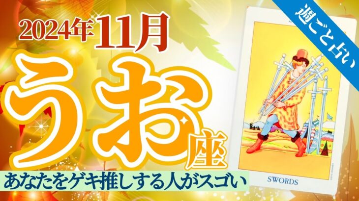 【うお座11月】推すな推すなと言ってるのに推してくる😅人気あるが故🎉 愛を受け止めて❣️✨🥳🎊🔮🧚2024タロット&オラクル《週ごと》