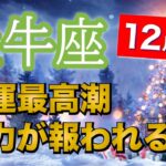 牡牛座12月運勢【全体運】努力が実る💰欲張っちゃって大丈夫🔮仕事運・人間関係運・恋愛運・金運［タロット/オラクル/風水］