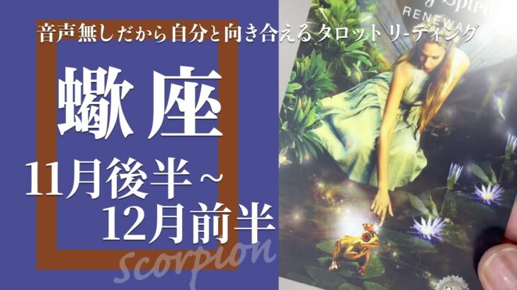 【さそり座】今に役立つ過去を持っている★2024年11月後半から12月前半★タロットリーディング【音声なし】【蠍座】