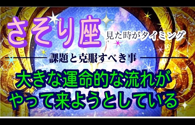 【さそり座♏️課題と克服☺️✨】見た時がタイミング※スピリチュアル＆深掘り💫凄い！大アルカナ祭💕😀