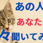 あの人にあなたの事を全部聞いてみた。驚きの本音🫢‼️恋愛タロット占い オラクルカード 個人鑑定級に深掘りリーディング