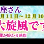 【魚座】 2024年11月11日から12月10日までのうお座の運勢。星とタロットで読み解く未来 #魚座 #うお座