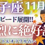 【双子座】大大満足の11月後半!! 全体運は超必見です👀✨【仕事運/対人運/家庭運/恋愛運/全体運】11月運勢  タロット占い