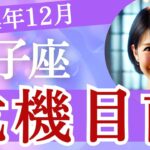 獅子座【2024年12月】しし座 「危機目前は抜け出せるか!? 」全体運・重大な変化・見逃さないで！恋愛運・仕事運・金運・人間関係・アドバイス［タロット3枚引き＆占星術］