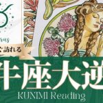 牡牛座♉キーパーソン登場で大逆転🍀もうすぐ訪れる大逆転🍀どんな大逆転が🍀いつ頃訪れる？🌝月星座おうし座さんも🌟タロットルノルマンオラクルカード