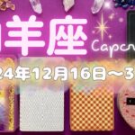 山羊座★2024/12/16～31★堪忍袋の緒が切れる前に、あなたの優しさや感性の豊かさの新たな使い道を活躍の場所を見つける時