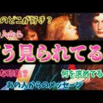 【緊急】あの人実はこう思ってます！超リアルな本音の気持ち💗透視細密リーディング　個人鑑定級　タロット占い