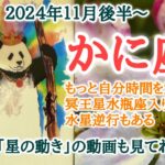 未来への波に乗る時🐬かに座♋️２０２４年１１月16〜30日頃まで