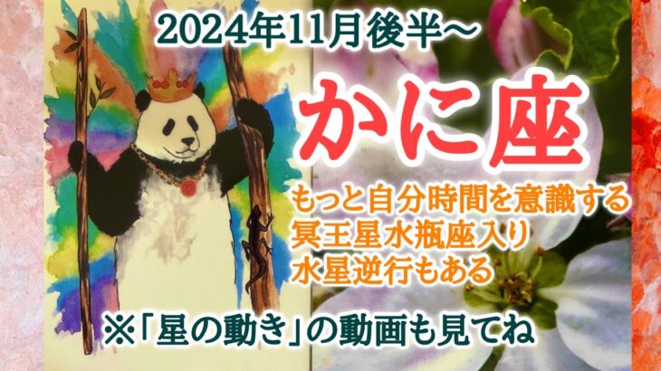 未来への波に乗る時🐬かに座♋️２０２４年１１月16〜30日頃まで