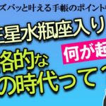 【男らしさがポイントとは⁉】2024/11/20から本格的な風の時代が到来！ 冥王星水瓶座入りによって2025年はどんな年・時代になる？ どう生きたらいい？ 教えてSTELLA先生！