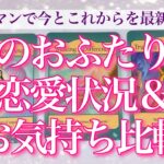 【恋愛💖】今のお二人の恋愛状況とお気持ち比較・より素敵な未来を掴むための方法も🦋ルノルマンカードで俯瞰してリアルにリーディングしてゆきます🔮