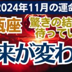 【水瓶座】2024年11月のみずがめ座総合運🌠運命が味方する11月の好機を掴んでみよう！