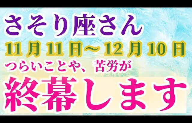 【蠍座】 2024年11月11日から12月10日までのさそり座の運勢。星とタロットで読み解く未来 #蠍座 #さそり座