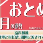 【おとめ座】2024年12月の運勢 富貴孤独　大きな継承と責任、周囲に流されず準備を【タロット】