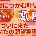 蠍座🍀占い2024年今から12月終わりまで💗支え合い切磋琢磨した日々が🎈夢の扉を開く💫タロット＆オラクルカード【全体運】【人間関係】【仕事運】【恋愛運】【幸運の鍵】