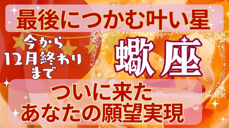 蠍座🍀占い2024年今から12月終わりまで💗支え合い切磋琢磨した日々が🎈夢の扉を開く💫タロット＆オラクルカード【全体運】【人間関係】【仕事運】【恋愛運】【幸運の鍵】