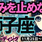 【獅子座】♌️2024年11月25日の週♌️歩みを止めない。未来が開かれるから。とにかくスタート。タロット占い