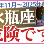 【水瓶座】2024年11月～2025年1月の運勢を徹底リーディング🔮みずがめ座のあなたに癒し🌈と感動😭の星占い✨とタロット「危険です😨」