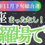 【魚座】2024年11月下旬うお座の方へ―魚座の星とカードが届ける、心を照らすメッセージ。