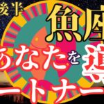 【魚座11月後半のメッセージ】あなたをあるべき姿に導いてくれるパートナーと共に人生を自由に創り出していく