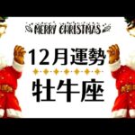 牡牛座、運気が完全に切り替わります⚠️厄と災難を手放し生まれ変わる─12月全体運勢♉️仕事恋愛対人不安解消・評価や印象【個人鑑定級タロットヒーリング】