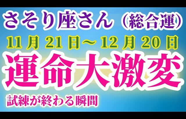 【蠍座】 2024年11月21日から12月20日までのさそり座の運勢。星とタロットで読み解く未来 #蠍座 #さそり座