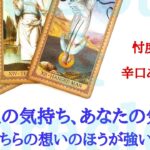 🌹恋愛タロット・オラクル占い🌹【辛口ありますご注意下さい】あの人の気持ち、あなたの気持ち、どちらの想いのほうが強い？お二人の現状 お互いの気持ち アドバイスetc..