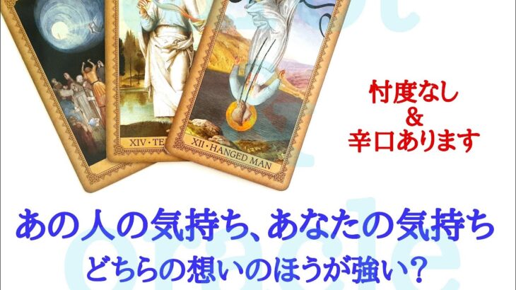 🌹恋愛タロット・オラクル占い🌹【辛口ありますご注意下さい】あの人の気持ち、あなたの気持ち、どちらの想いのほうが強い？お二人の現状 お互いの気持ち アドバイスetc..